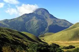8 Days 7 Nights Kerala Package - Day 02: Munnar Full Day Sightseeing itinerary image