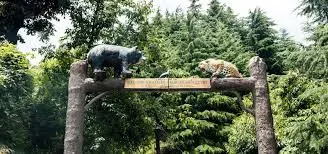2 Night Dalhousie Package - Day 3 Dalhousie – Kalatop – Delhi itinerary image