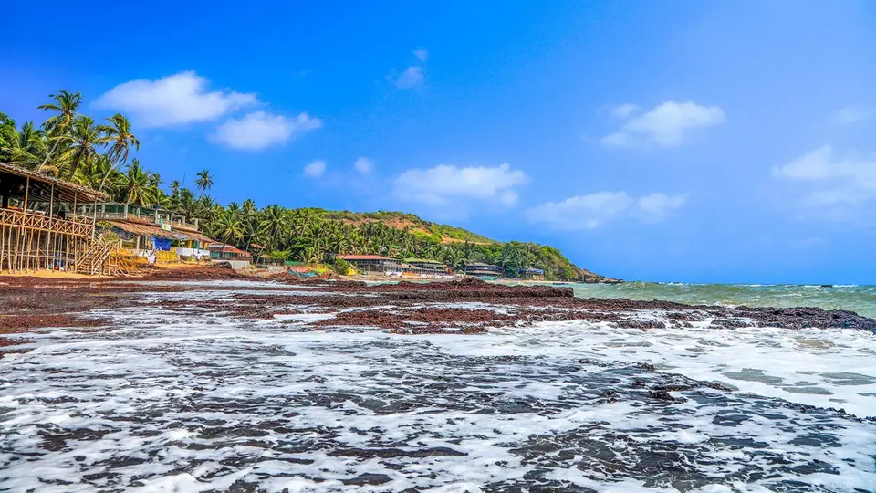 Anjuna Beach Goa sightseeing image