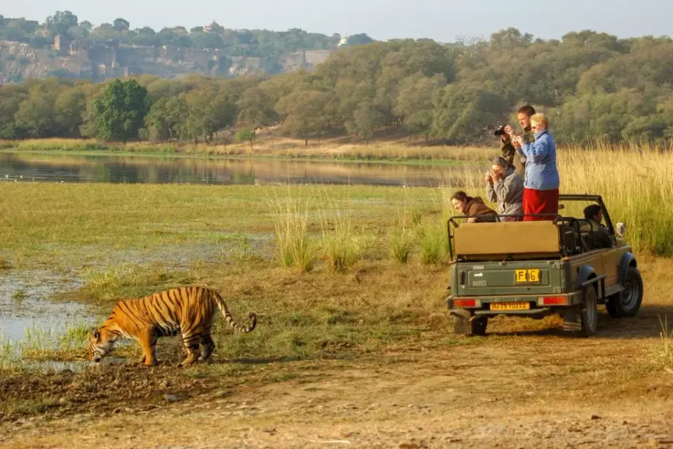 3 Days 2 Nights Ranthambore Package - National Park image