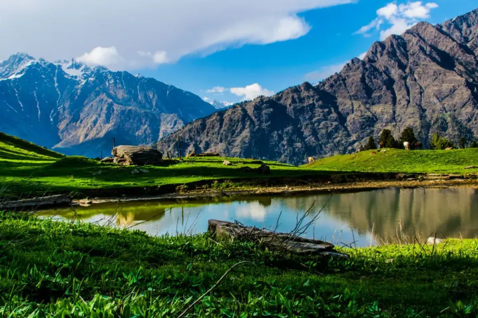 Mountain peaks and green meadows reflected in an alpine lake