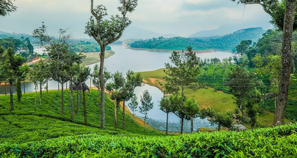 Mattupetty Dam Munnar sightseeing image