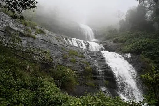 Cheeyappara Waterfalls sightseeing image