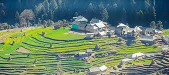 2 Night Kasauli Package - Kasauli image