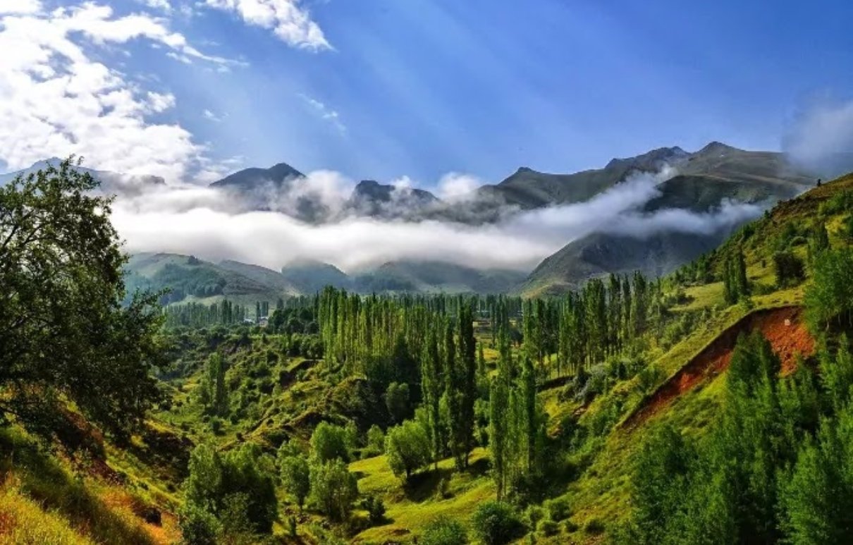 2 Night Kasauli Package - Kasauli1 image