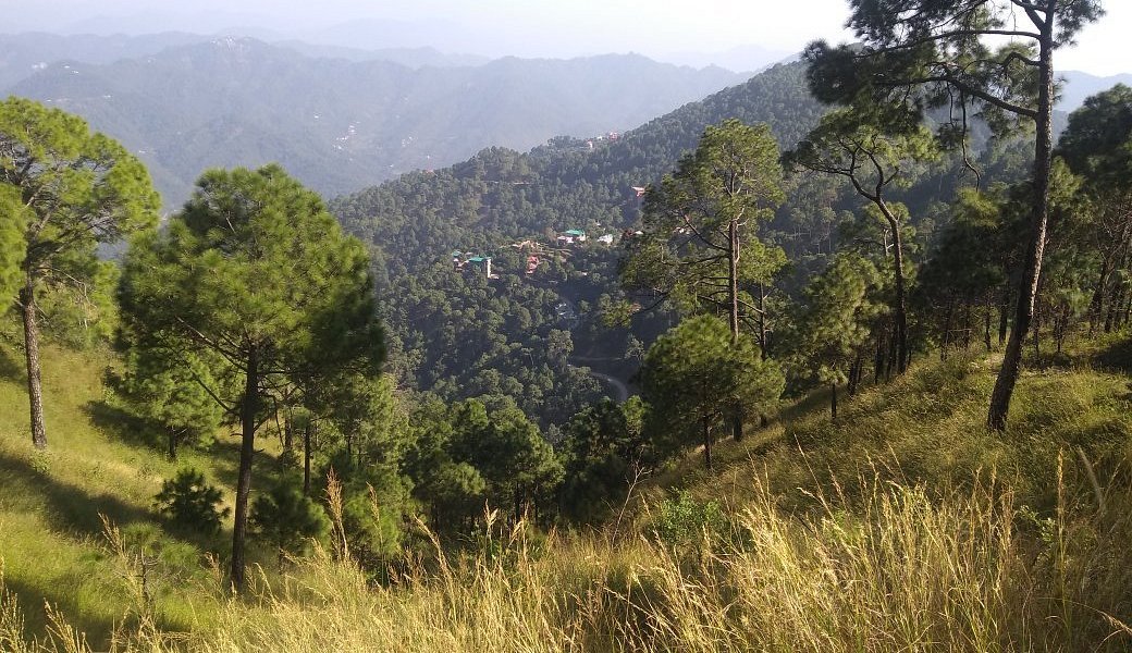 2 Night Kasauli Package - Gilbert Trail image
