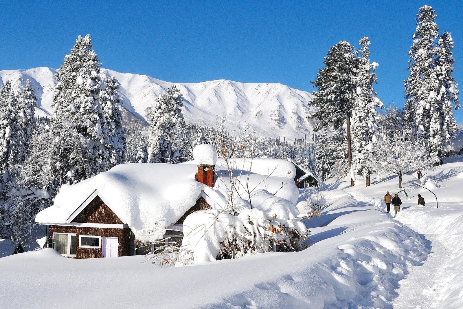 5 Night 6 Days Kashmir Package - gulmarg image