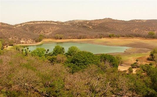3 Days 2 Nights Ranthambore Package - padam image