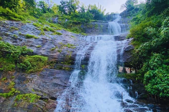 6 Days 5 Night Kerala Package - munnar image