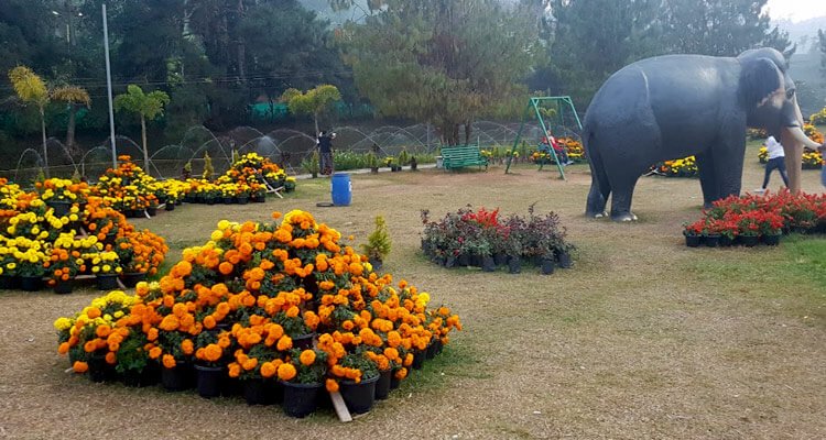 5 Days 4 Nights Kerala Package - parks image