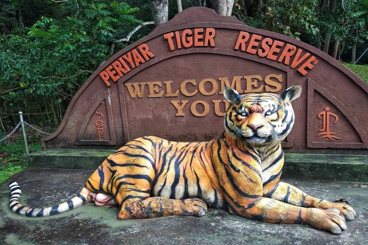 7 Days 6 Nights Kerala Package - thekkady image
