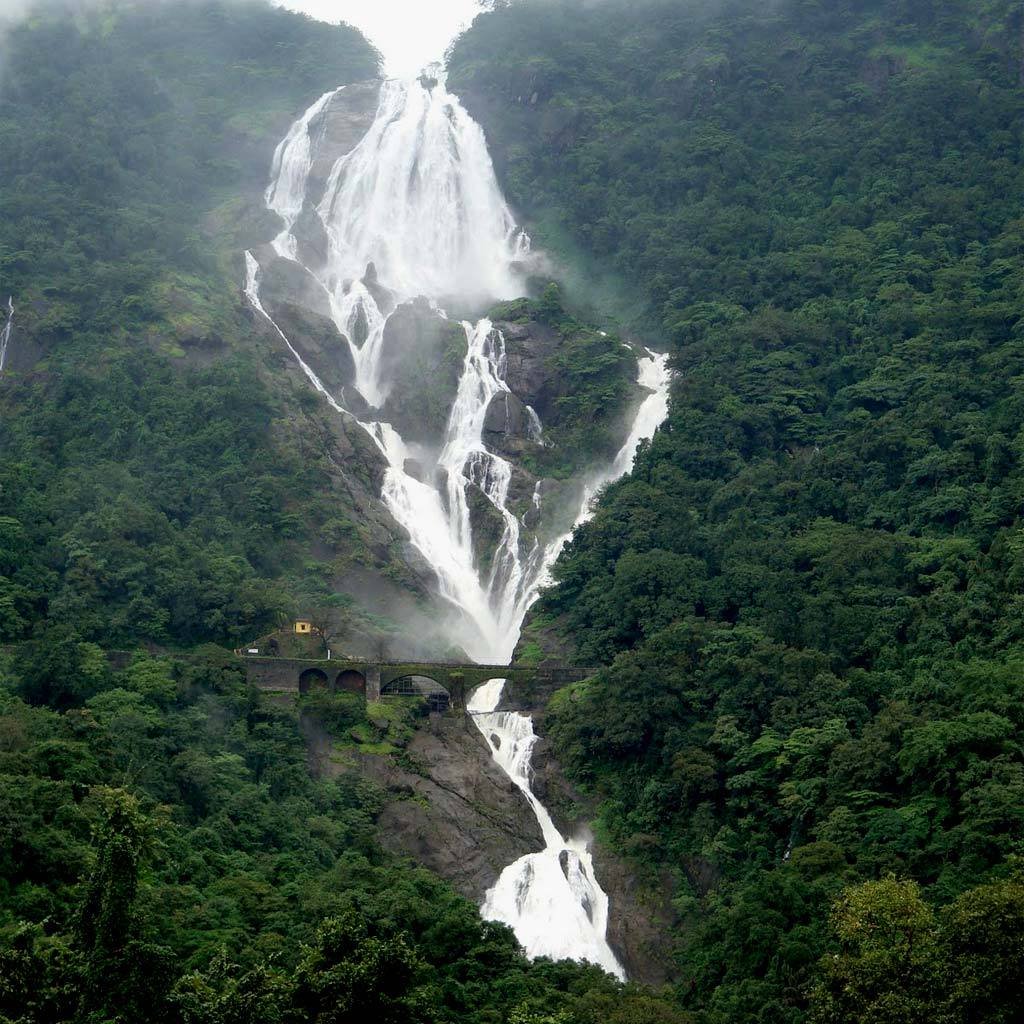 4 Night 5 Days Goa Package with Dudhsagar Waterfall - Day 3: Dudhsagar Waterfall Excursion (SIC Basis) itinerary image
