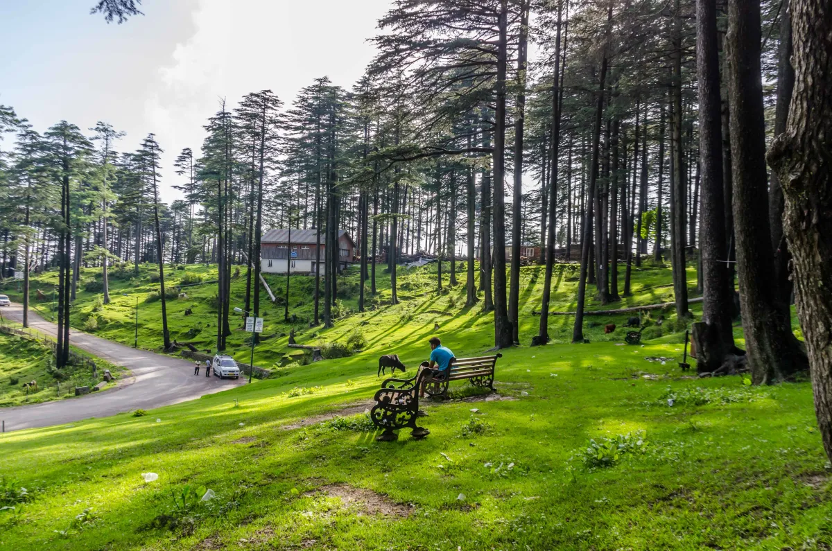 5 Days 4 Night Shri Veshno Devi Package - Day 4: Katra to Patnitop Sightseeing itinerary image