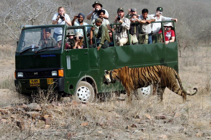3 Days 2 Nights Ranthambore Package - Day 1: Delhi to Ranthambore itinerary image