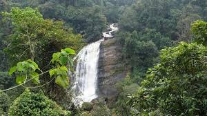 5 Days 4 Nights Kerala Package - Day 01: Arrival at Cochin – Transfer to Munnar itinerary image