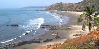 Vagator Beach Goa sightseeing image