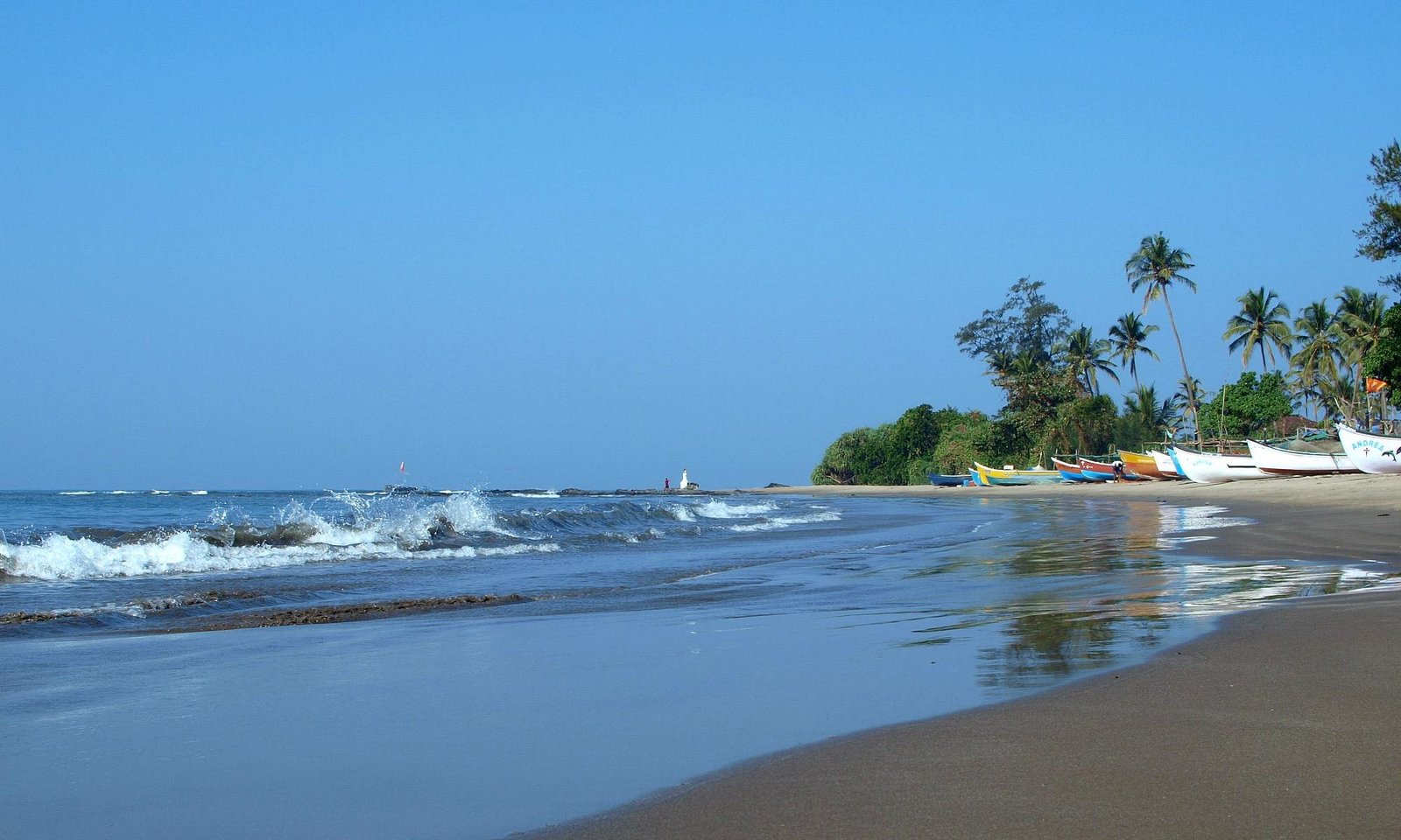 Morjim Beach Goa sightseeing image