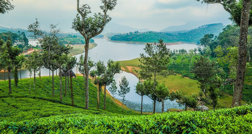 Mattupetty Dam Munnar sightseeing image