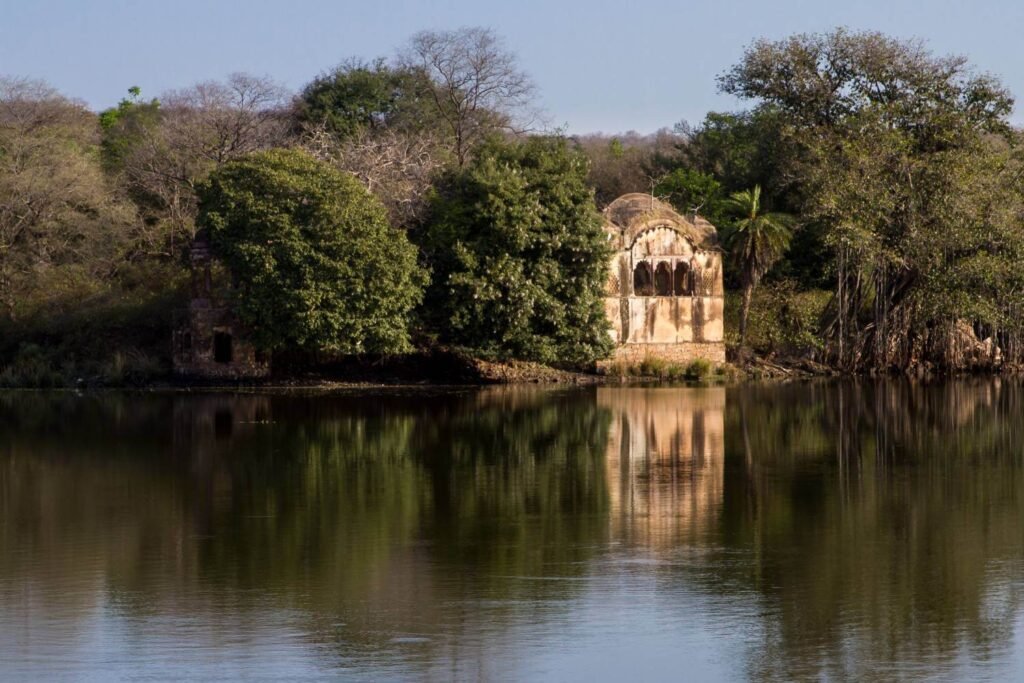 Raj Bagh Ruins sightseeing image