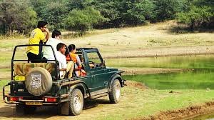 Sariska Jungle Safari activity image